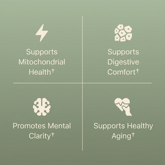Supports mitochondrial health, digestive comfort, mental clarity and healthy aging