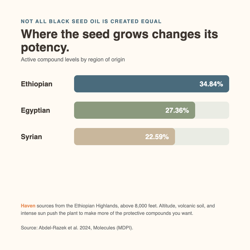 Not All Black Seed Oil Is Created Equal